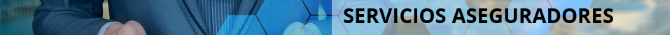 Corredor de Seguros